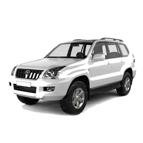 SUV / Jeep